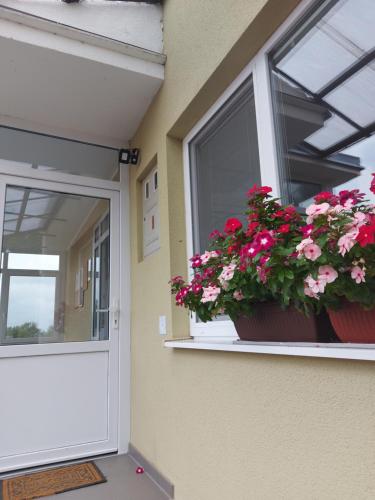 比尔杰Apartman Kovač-Bilje的窗户上一扇门,两朵盆花