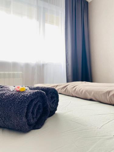 巴甫洛达尔1-комнатная квартира的蓝色毛巾坐在带窗户的床上
