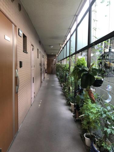 东京新宿の家-畳み3人部屋的植物的办公楼走廊