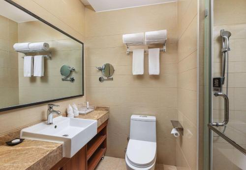 大理大理戴斯温德姆酒店的一间带水槽、卫生间和镜子的浴室