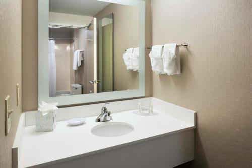 米尔福德米尔福德春季山丘套房酒店的浴室设有白色水槽和镜子
