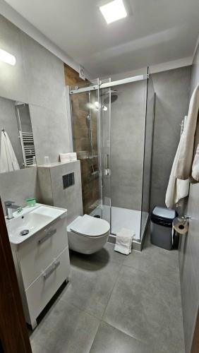 MargoninHotel Sypniewo的带淋浴、卫生间和盥洗盆的浴室