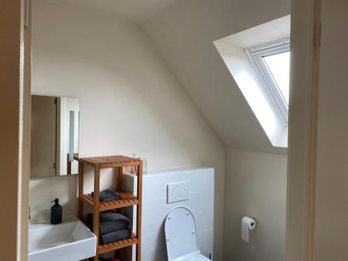 MeerleB&B 't Mjeels Pierke的浴室配有卫生间、水槽和天窗。
