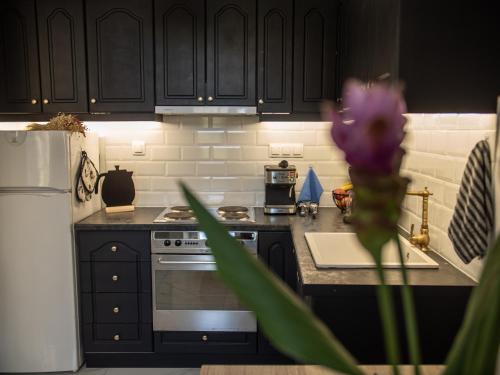 科孚镇Casa Cantonale的厨房配有黑色橱柜和紫色花卉