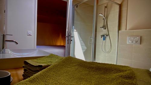 尚泰梅尔莱布莱Gîtes Du Mas de Surlan的带淋浴和盥洗盆的浴室