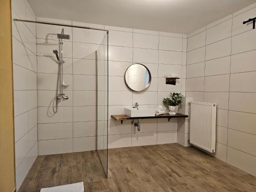 博德森特克VILA LISJAK - Apartments的带淋浴、盥洗盆和镜子的浴室