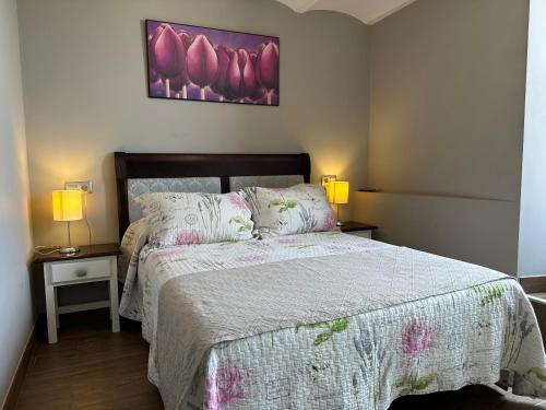 卡索拉佩娜德雷公寓的一间卧室配有一张床、两盏灯和一幅画