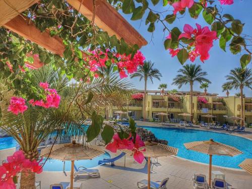 赫尔格达Palm Beach Resort的享有粉红色鲜花度假村的游泳池景致