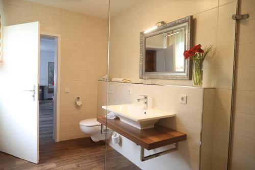 古梅尔斯巴赫斯特蒙酒店的一间带水槽、卫生间和镜子的浴室