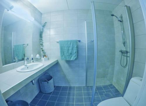 TorsetFjellstova Storehorn Apartments的带淋浴、盥洗盆和卫生间的浴室