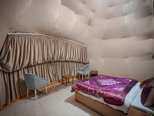 瓦迪拉姆RUM ROYAL FLOWER lUXURY CAMP的一间卧室配有一张床和两把椅子