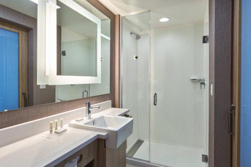 奥兰多SpringHill Suites by Marriott Orlando Lake Nona的一间带水槽和淋浴的浴室