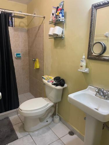 蒙特雷Mauricio apartment的一间带卫生间和水槽的浴室