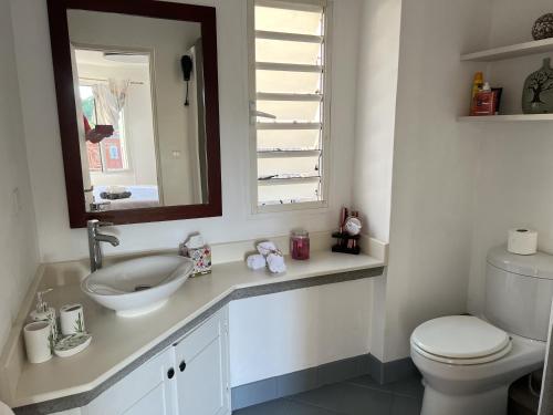 特里罗杰Cozy one bedroom apartment in a secure complex , PORT CHAMBLY Mauritius的一间带水槽、卫生间和镜子的浴室