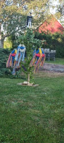 HammarlandParadiset的公园里一棵树上放着色彩缤纷的风筝