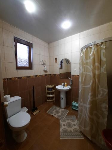 喀尔巴阡Комфортный的一间带卫生间和水槽的浴室
