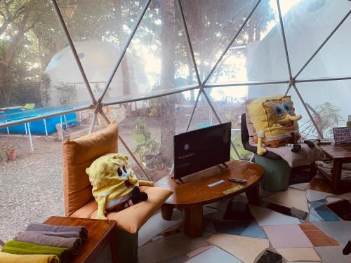 道因Glamping Dome Dauin Beach Resort的两个装满东西的动物坐在一个电脑房间里