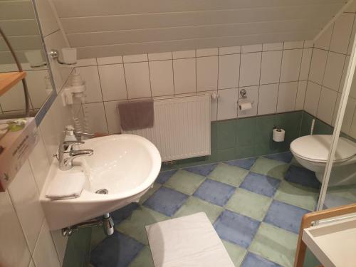 拉姆绍达赫斯坦Bergführerhaus的一间带水槽和卫生间的浴室