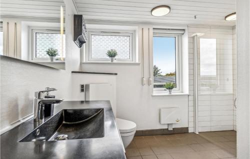埃斯比约Stunning Home In Esbjerg V With Wifi的一间带水槽和卫生间的浴室以及窗户。