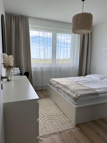 Prievoz2 room Apartment, new building, near Airport, Ovocné sady,的一间卧室配有一张床、一张书桌和一个窗户。