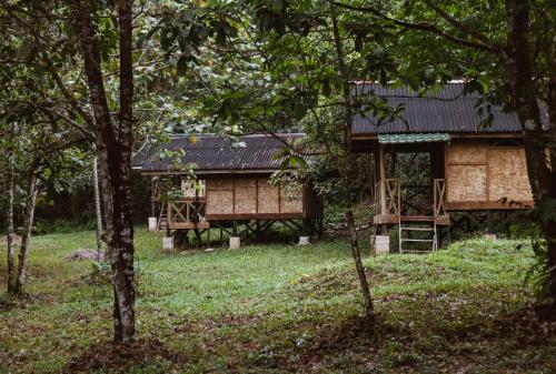 TimbanglawangWild Camp的树中间有黑色屋顶的房子