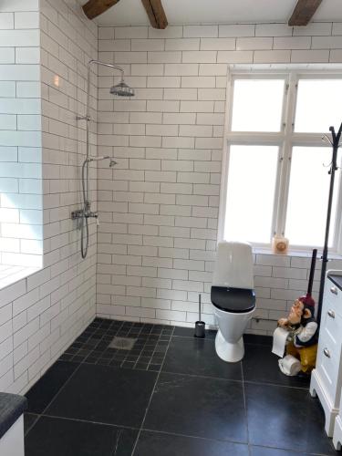 卢马Villa Deluxe at Brohuspark的带淋浴和卫生间的浴室。