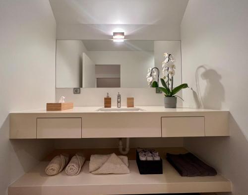 赫尔Luxury Business Accommodation Geel的一间带水槽和镜子的浴室