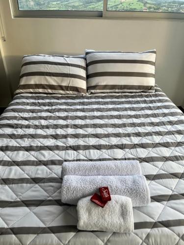 巴尔博萨El Mirador的一张带两条毛巾和两个枕头的床