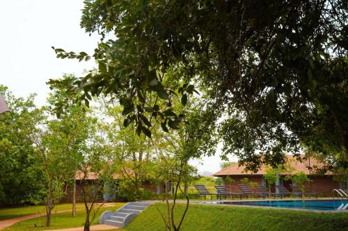 锡吉里亚Foresta Resort Sigiriya的庭院中带游泳池的房子