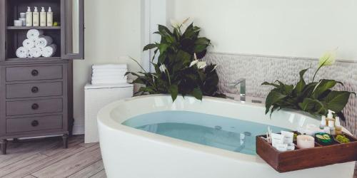 劳德代尔堡鹈鹕海滩度假度假酒店 - 贵族之家 的一间带植物浴缸的浴室