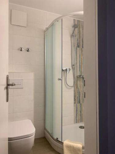 巴特埃尔斯特Hotel Carolaruh的浴室设有玻璃淋浴间和卫生间