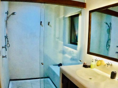 锡瓦塔塔内霍Casa de Ali: Located on the beach!的带淋浴、盥洗盆和镜子的浴室