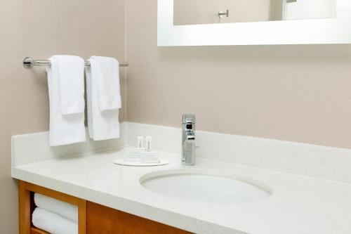 圣地亚哥圣地亚哥米申谷万豪春季山丘套房酒店的浴室配有盥洗盆、镜子和毛巾