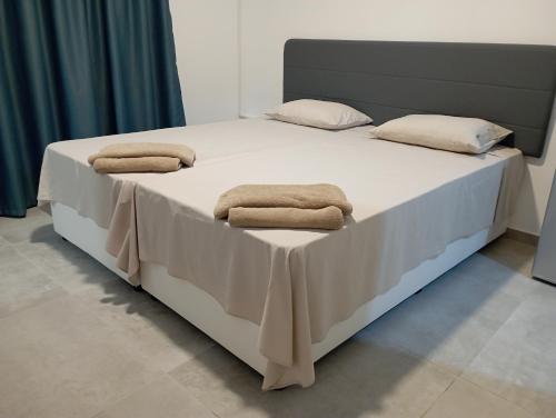阿依纳帕BluejSuite的床上有两条毛巾