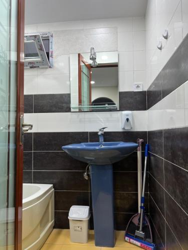 第比利斯Monika Apartment Tbilisi的一间带水槽和镜子的浴室