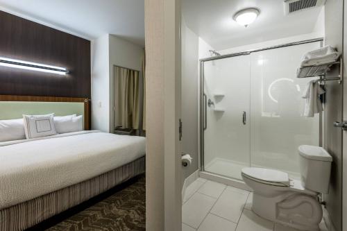斯泰茨伯勒斯泰茨伯勒大学区春季山丘套房酒店的酒店客房配有一张床和淋浴