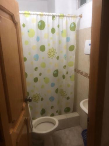 洛哈Pensión Malacatos的浴室配有带卫生间的淋浴帘