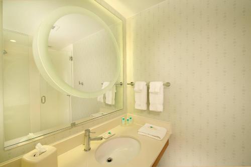 亚历山德里亚亚历山德里亚春季山丘套房酒店的一间带水槽和镜子的浴室