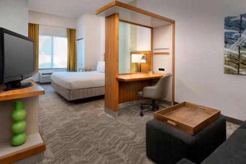 亚历山德里亚亚历山德里亚春季山丘套房酒店的酒店客房配有一张床、一张书桌和一台电视。