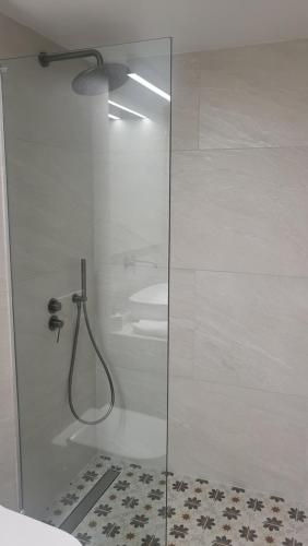 沃洛斯Φιλόξενο σπίτι στο Βόλο的浴室里设有玻璃门淋浴