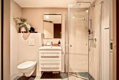 奥斯陆Magnificent Modern Apartment Central Oslo的带淋浴、卫生间和盥洗盆的浴室