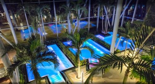 普洛耶什蒂Mercur Studio Ploiesti的享有棕榈树泳池的顶部景色