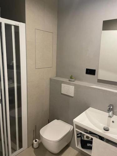 日利纳Apartmán PIANO priamo v centre Žiliny的浴室配有白色卫生间和盥洗盆。