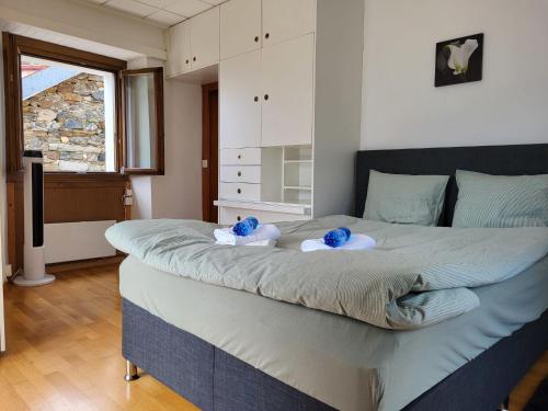 隆科索普拉阿斯科纳Holiday Home Bel Panorama - Casa nel Nucleo by Interhome的一间卧室配有一张大床,床上有蓝色填充动物