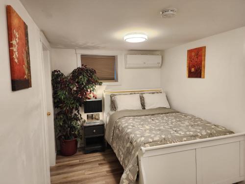 蒙克顿Private Basement Suite in Central Moncton的一间小卧室,配有床和植物