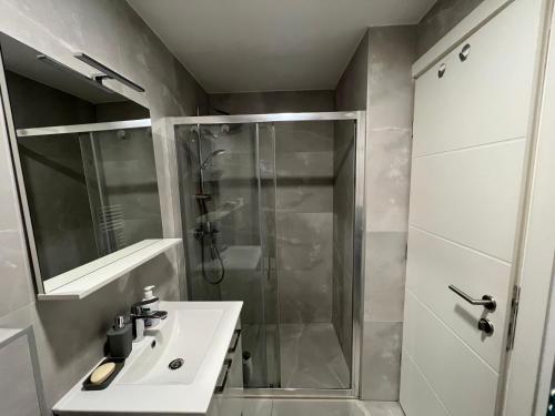 泽尼察Apartman Sara的带淋浴和盥洗盆的浴室