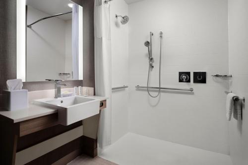新奥尔良新奥尔良市中心/运河街万豪春季山丘酒店的一间带水槽和淋浴的浴室