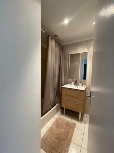 蒙彼利埃Appartement T5的一间带水槽和镜子的浴室