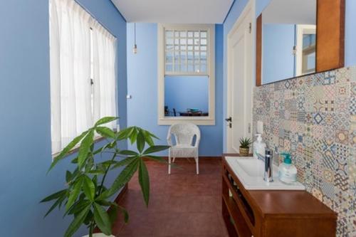 孔迪镇708 Mugnano House Aveleda的蓝色的浴室,配有植物和椅子