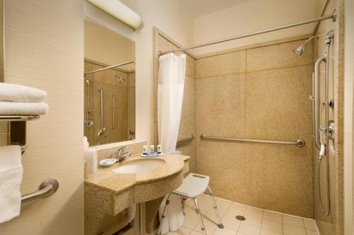 韦科瓦可北麦瑞特费尔菲尔德客栈的一间带水槽和淋浴的浴室